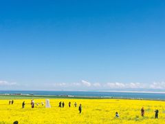 -青海湖国家重点风景名胜区