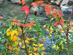 -宁波五龙潭景区