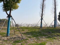 -嘉北郊野公园