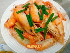 -优护优家Ucare月嫂育儿嫂陪伴师(静安店)