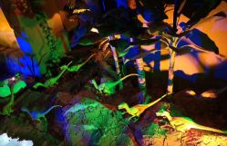 -恐龙探索乐园(磁器口店)