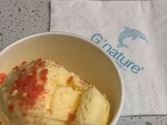 -八喜G’nature冰淇淋旗舰店
