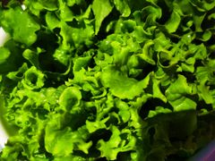 -额尔敦牛厨师铜板烧