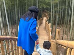 -陶祖圣境风景区