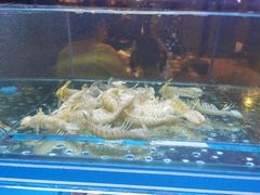 -鑫釜山海鲜烧烤(浑南店)