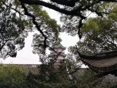 -阿育王寺