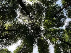 -山王坪喀斯特国家生态公园