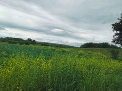 -御道口草原森林风景区