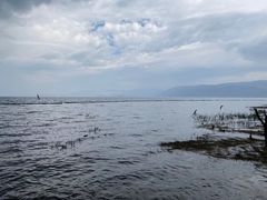 -大理洱海