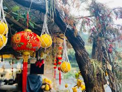 -杨家堂村
