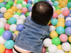 -zoonana室内动物园(东方福来德店)