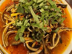 烧椒鳝丝-飞虹鱼馆(春华路店)