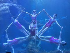 -多彩贵州城极地海洋世界