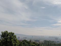 -白鹭湾湿地公园