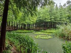 -尚贤河湿地