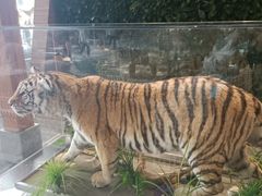 -弘安丽水温泉酒店