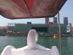 -星海水上乐园(星海广场圣亚店)