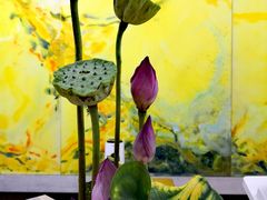 -杭州龙禧福朋喜来登酒店