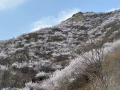 -妙峰山风景名胜区