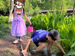 -重庆彩云湖湿地公园