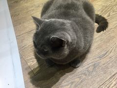 -小时光咖啡馆(开森度假森林店)