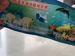 -蓬莱欧乐堡海洋极地世界