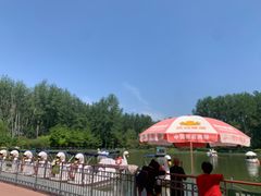-仁和公园(顺义区)