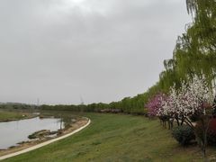-洨河生态公园
