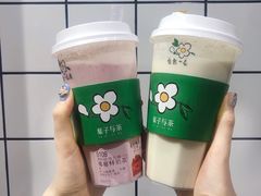 -叶子与茶(苏宁广场店)