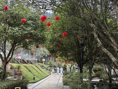 -中铁花水湾四季温泉谷