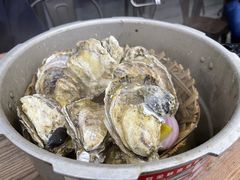 -蚝山·喷汽火山生蚝(前福路店)