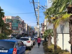 -莲洞本家