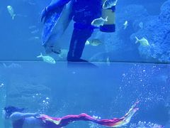-左海海底世界