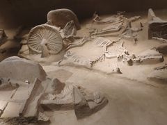 -洛阳周王城天子驾六博物馆