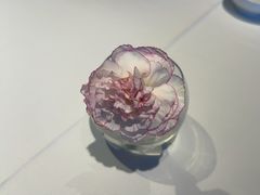 -眉州东坡(石景山店)