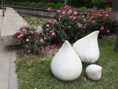 景点-上海鲜花港