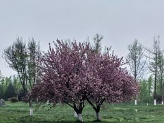 -汉长安城未央宫国家考古遗址公园