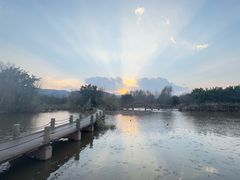 -西昌邛海湿地