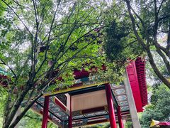 -岳麓山风景名胜区