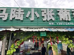 -马陆小张葡萄园农家乐