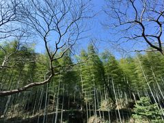 -黄公望隐居地
