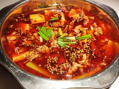 -宽口美蛙鱼头(大唐西市店)