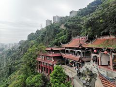 -龙泉洞(沙坪坝区)
