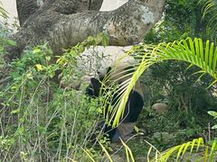 -石排湾郊野公园