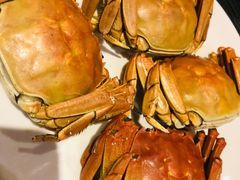 -云冈美高大酒店-西餐厅