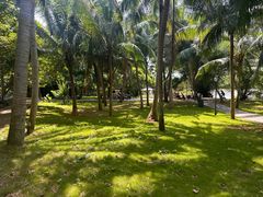 -东寨港红树林旅游区