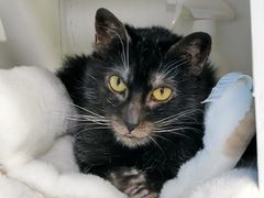 -中粮·祥云小镇