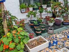 -北京龙庆四季香农家饭庄·灶台鱼·碳烤虹鳟鱼(龙庆峡店)