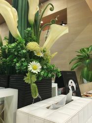 -CARR SALON