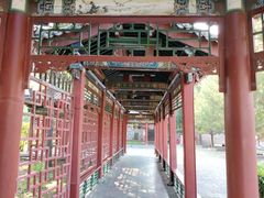 -晋祠公园